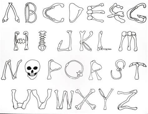 12 Bone Letters Font Alphabet Images Bone Font Alphabet Letters Bone