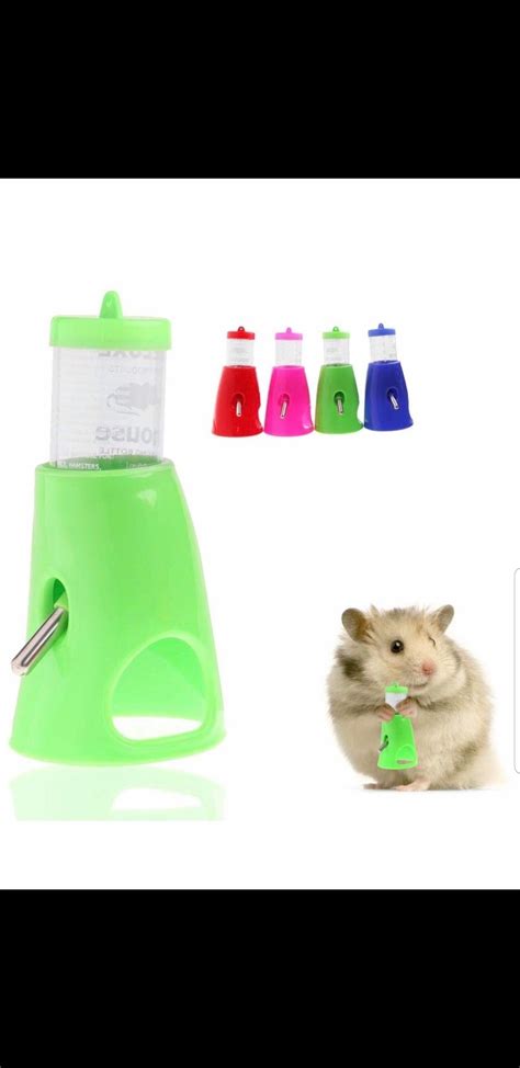 Is This How Hamsters Use Their Water Bottles Hamster Bottle Water