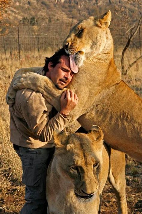 South African Kevin Richardson The Lion Whisperer Ranimalsbeingbros