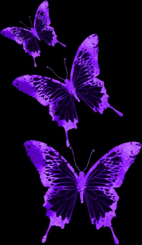 Purple Aesthetic Butterflies Wallpapers Wallpaper Cave