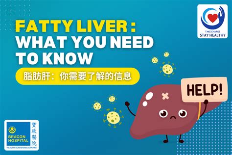 Fatty Liver What You Need To Know Beacon Health Screening Centre
