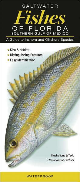 Saltwater Fishes Of Florida Southern Gulf Of Mexico A Guide To