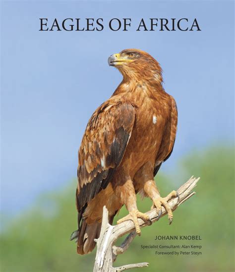 The eagles are an american rock band formed in los angeles in 1971. New interview with Johann Knobel about the eagles in Africa