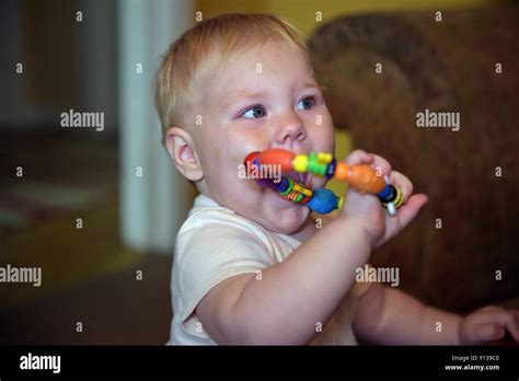 An Eleven Month Old Baby Chewing On A Plastic Teething Ring To