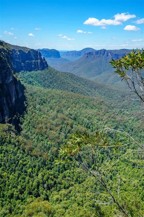 Hiking The Govetts Walk Blue Mountains National Park Australia 3