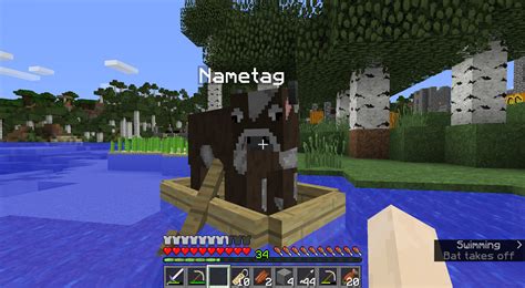 I Present To You The One And Only Nametag The Cow My Best Friend