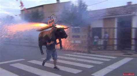 Toro De Fuego Para Los NiÑos De Fontellas Navarra 6 1