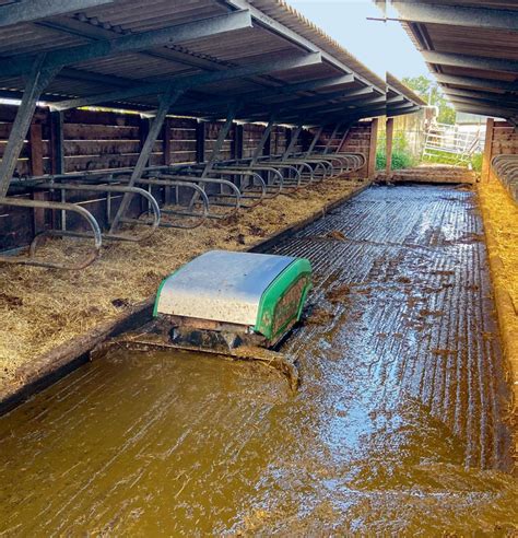 Un sol propre pour le bien être des vaches