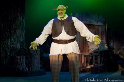 Shrek The Musical Ritz Even Ogres Can Live Happily Ever After Phindie
