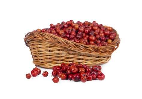 Indian Fruit Red Berry On White Background Stock Photo Image Of