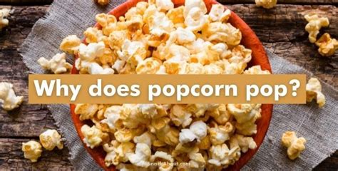 Where Do Popcorn Kernels Come From