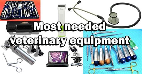 Most Needed Veterinary Equipment 6 Of The Best 2024 I Love Veterinary
