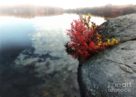 Autumn On Misty Lake Photograph By Mike Nellums Fine Art America