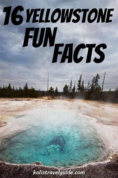 An Interesting Collection Of Yellowstone Fun Facts No Wonder Why It Has Been Named Top