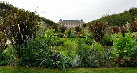 ʒaʁdɛ̃ dɛ plɑ̃t də paʁi) when distinguished from other jardins des plantes in other cities, is the main botanical garden in france. Paris Botanical Garden photo 0