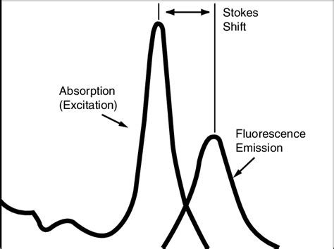 Excitation And Emission Spectra Of A Model Fluorophore With Moderate