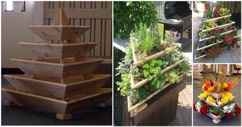 Creative Idea Of Home Gardening Triolife Plant Pyramid