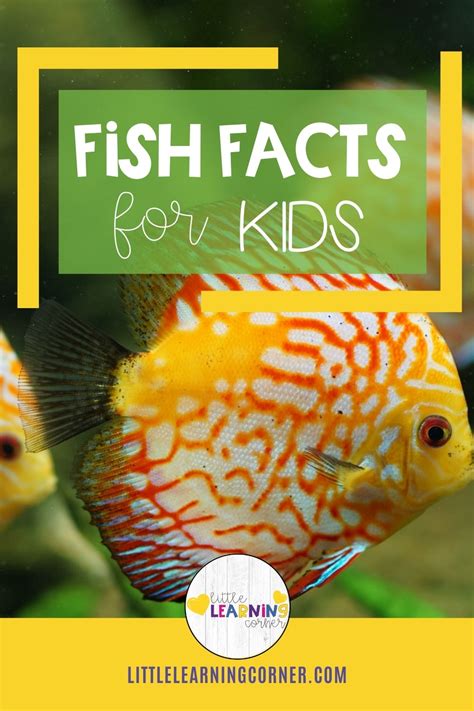 65 Fun Fish Facts For Kids Little Learning Corner