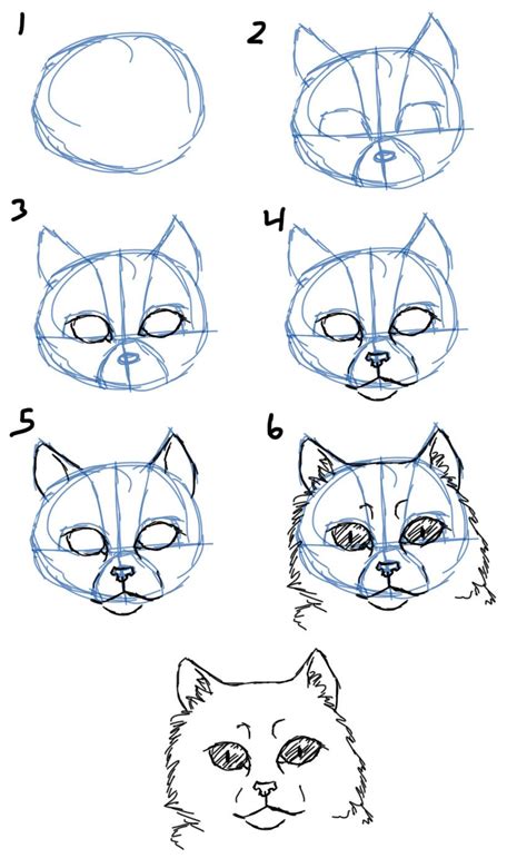 How To Draw Cat Facesheads Front View Cat Drawing Animal Drawings