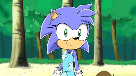 Sonic X Oc Picture Blue In The Beach By Aquamimi123 On Deviantart