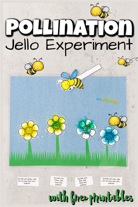 fun science experiments pollination science experiments