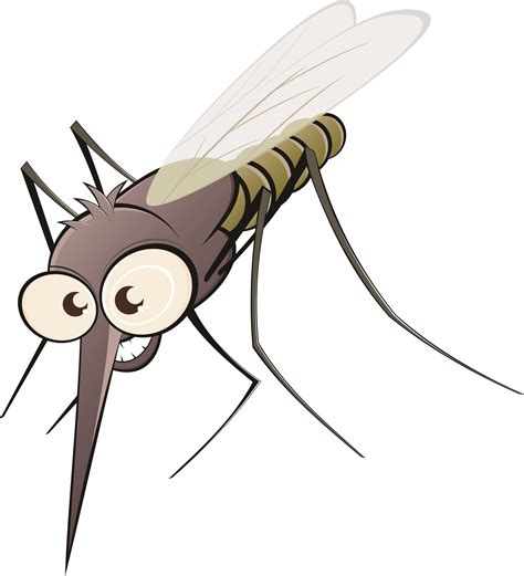 Simple Drawing Of A Mosquito Peepsburghcom