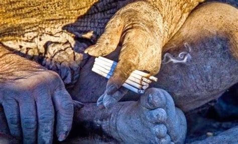 Tetapi kemegahan dan kekuatan itu besar kemungkinan. (9Gambar) Lelaki Ini Tidak Pernah Mandi Selama 60 Tahun ...