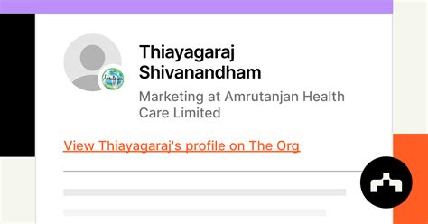Thiayagaraj Shivanandham Marketing At Amrutanjan Health Care Limited