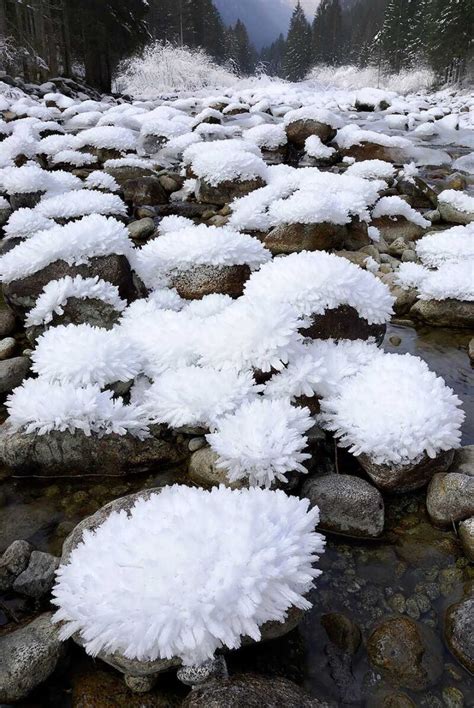 Natural Ice Freeze Into Awesome And Amazing Snow Live Art Show New