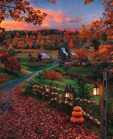 This Is Gorgeous 🍂🧡 ~ Tags Fall Autumn Leaves Red Orange