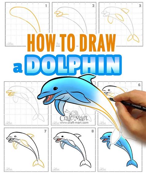 Drawing A Dolphin Step By Step Tutorial Craft Mart