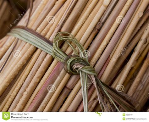 Bundle Of Reeds Ready For Thatching Stock Photo Image Of Reeds