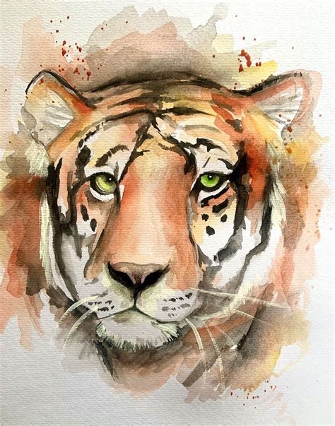 Tiger In Watercolours Artbase