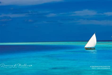 The Dhoni Maldives Traditional Boat By Dreaming Of Maldives