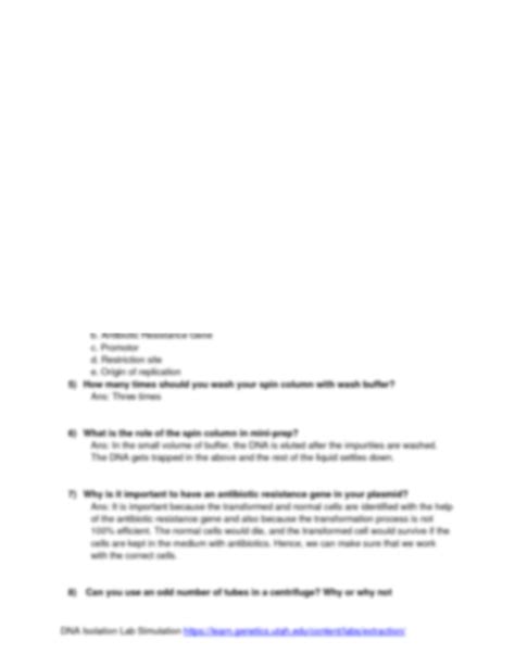 Solution M13 Dna Isolation Worksheet Studypool