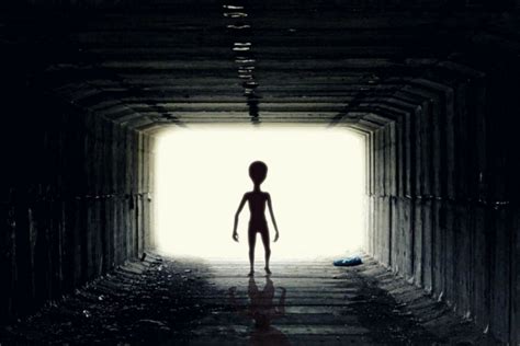 Nasa Scientists Says Aliens May Have Visited Earth Without Us Knowing