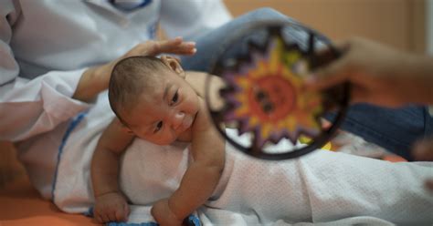 Flere End Gravide Er Smittet Med Zika Virus