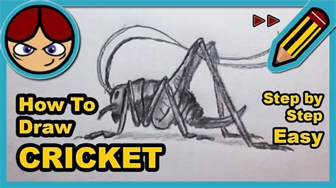 How To Draw A Cricket Step By Step Easy Speed Como Dibujar Grillo