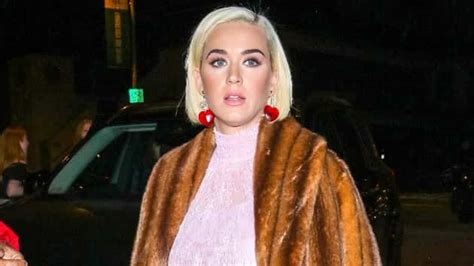 Katy Perry Mourns The Death Of Her Beloved Pet Cat Kitty Purry Hot 1017