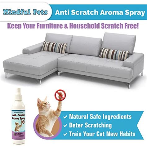 Suggestions that can be found in many sources, such spray down the baseboards, mist the floors of closets or rooms, furniture, counter tops, or spray your potted plants. Top 10 Best Cat Furniture Repellent - Best of 2018 Reviews ...