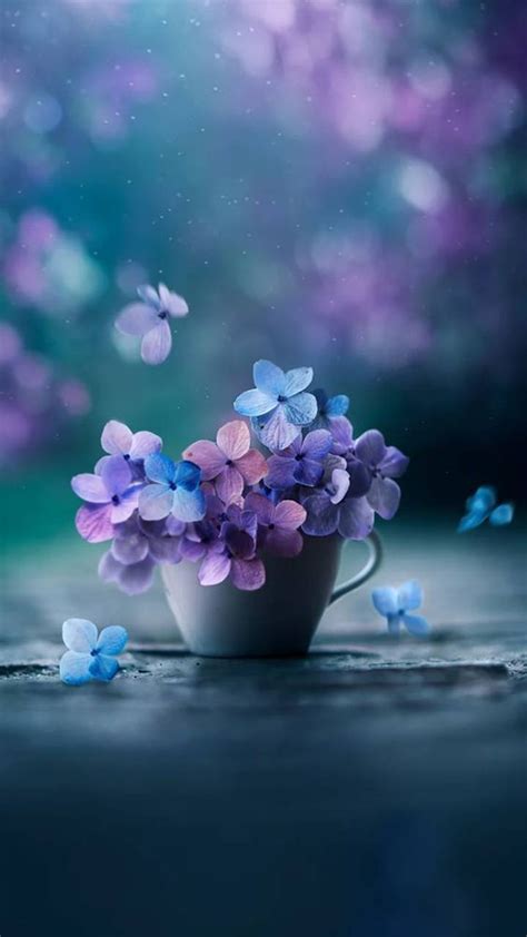 25 Beautiful Flower Wallpapers For Iphone Free Download Blue