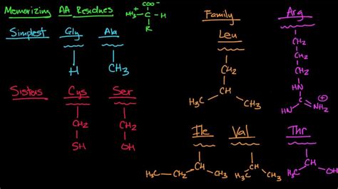 Memorizing Amino Acids Part YouTube