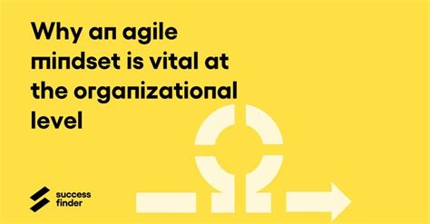 Why An Agile Mindset Is Vital At The Organizational Level Successfinder