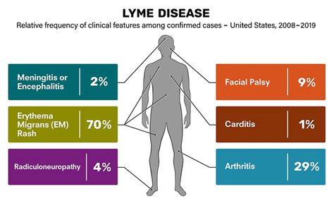 Lyme Disease Symptoms In Men