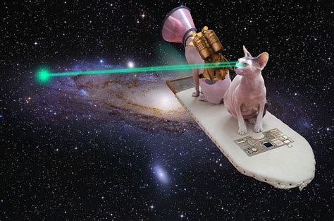 Space Cats Shoot Lasers Ridiculous Pictures Pinterest Cats