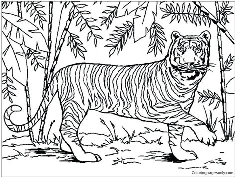 Siberian Tiger Coloring Page At Free Printable