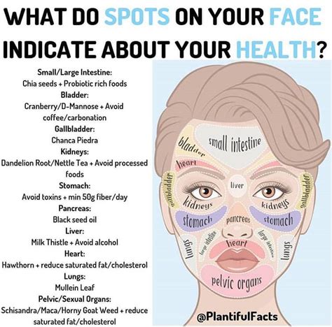 Pin By Kapil Davi On Positive Vibes Face Mapping Acne Face Mapping
