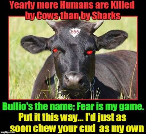 Evil Cow Meme