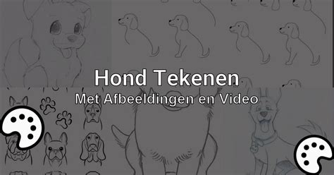 Hond Tekenen Met Afbeeldingen En Video