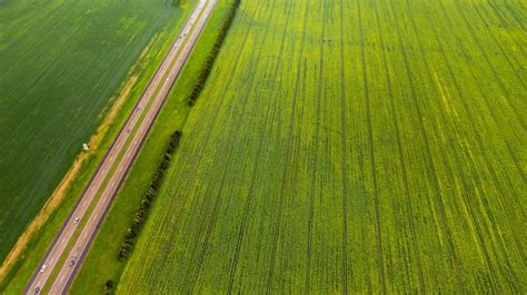 Premium Photo Top View Of The Sown Green In Belarusagriculture In